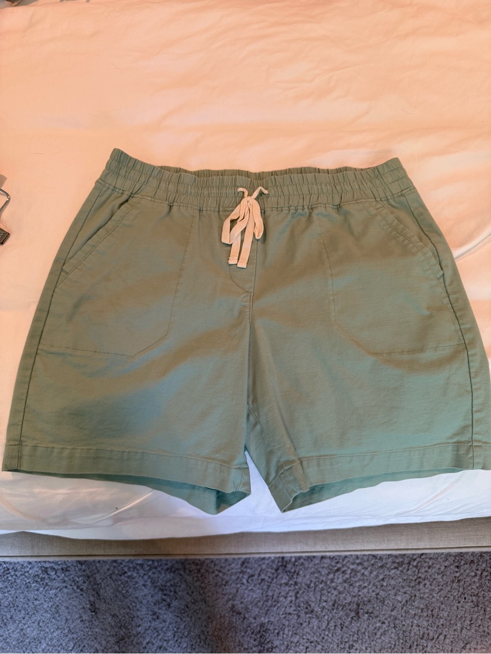 Talbots Sage Green Drawstring Casual Athletic Shorts